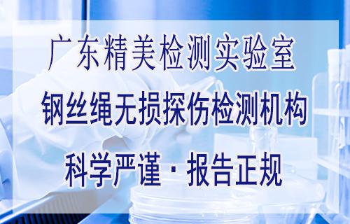 肇慶市第三方檢測服務(wù) 起重機鋼絲繩X射線探傷與商務(wù)信息咨詢一體化解決方案